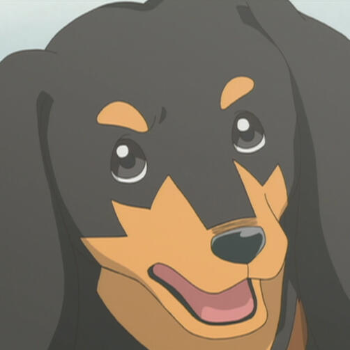 Usui Usui